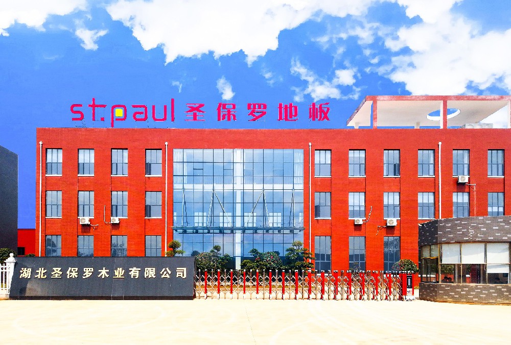 步履不停 樹立行業(yè)標(biāo)桿—圣保羅家居科技有限公司董事長楊素文