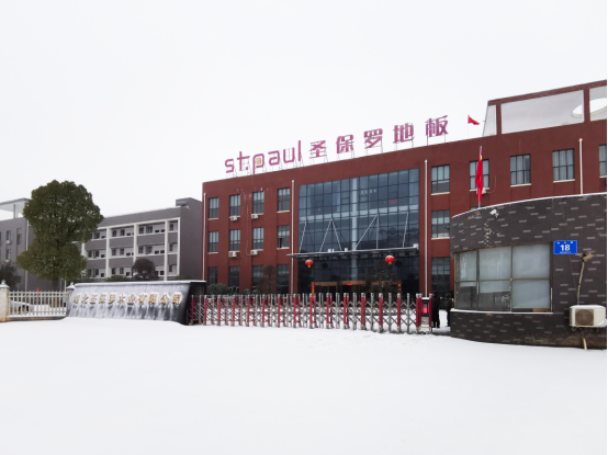堅毅奮進 鏟雪同行——湖北圣保羅木業(yè)風雪中的擔當