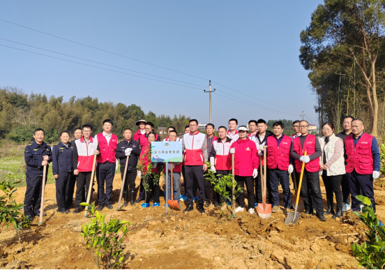 圣保羅家居積極響應(yīng)安沙商會植樹節(jié)活動