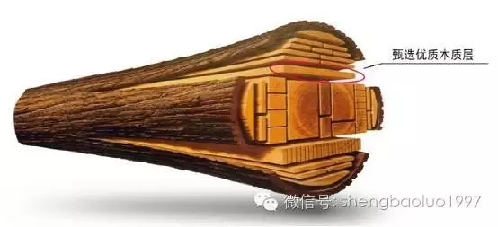 高“顏值”高內(nèi)涵養(yǎng)成術(shù)（三） ——圣保羅實木地板